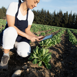 Slide 1 Home YVY (6)